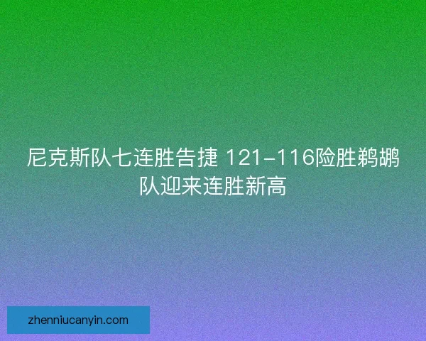 尼克斯队七连胜告捷 121-116险胜鹈鹕队迎来连胜新高